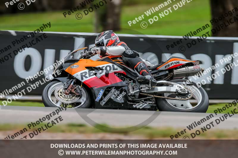 Oulton Park Track Day 18th Aug 2918;PJ Motorsport;anglesey;brands hatch;cadwell park;croft;donington park;enduro digital images;event digital images;eventdigitalimages;mallory;no limits;oulton park;peter wileman photography;racing digital images;silverstone;snetterton;trackday digital images;trackday photos;vmcc banbury run;welsh 2 day enduro