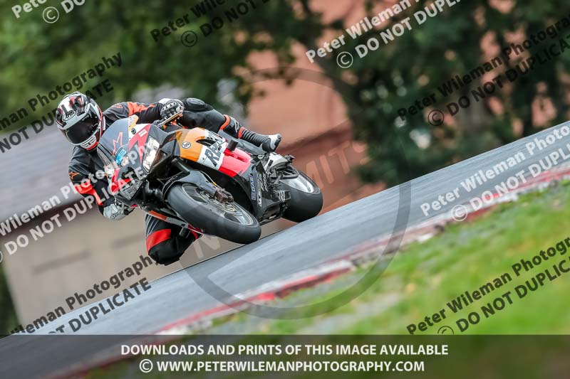 Oulton Park Track Day 18th Aug 2918;PJ Motorsport;anglesey;brands hatch;cadwell park;croft;donington park;enduro digital images;event digital images;eventdigitalimages;mallory;no limits;oulton park;peter wileman photography;racing digital images;silverstone;snetterton;trackday digital images;trackday photos;vmcc banbury run;welsh 2 day enduro