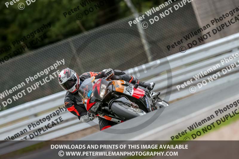 Oulton Park Track Day 18th Aug 2918;PJ Motorsport;anglesey;brands hatch;cadwell park;croft;donington park;enduro digital images;event digital images;eventdigitalimages;mallory;no limits;oulton park;peter wileman photography;racing digital images;silverstone;snetterton;trackday digital images;trackday photos;vmcc banbury run;welsh 2 day enduro