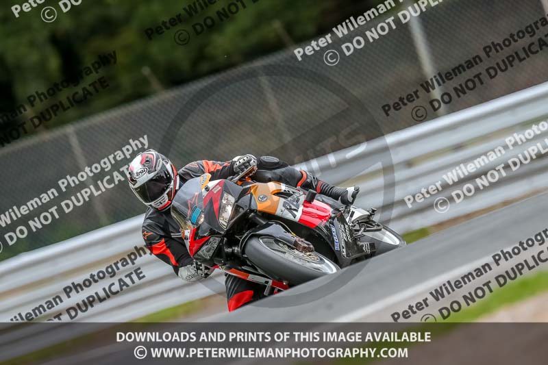 Oulton Park Track Day 18th Aug 2918;PJ Motorsport;anglesey;brands hatch;cadwell park;croft;donington park;enduro digital images;event digital images;eventdigitalimages;mallory;no limits;oulton park;peter wileman photography;racing digital images;silverstone;snetterton;trackday digital images;trackday photos;vmcc banbury run;welsh 2 day enduro