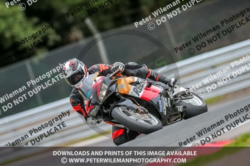 Oulton Park Track Day 18th Aug 2918;PJ Motorsport;anglesey;brands hatch;cadwell park;croft;donington park;enduro digital images;event digital images;eventdigitalimages;mallory;no limits;oulton park;peter wileman photography;racing digital images;silverstone;snetterton;trackday digital images;trackday photos;vmcc banbury run;welsh 2 day enduro