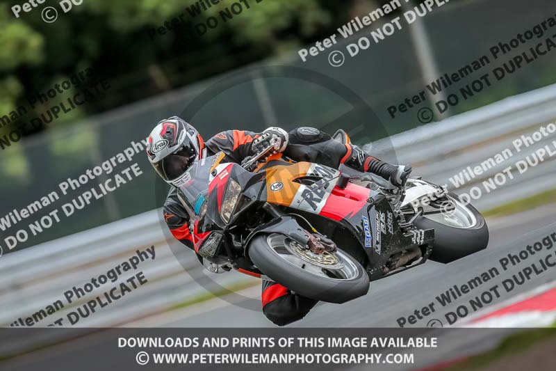 Oulton Park Track Day 18th Aug 2918;PJ Motorsport;anglesey;brands hatch;cadwell park;croft;donington park;enduro digital images;event digital images;eventdigitalimages;mallory;no limits;oulton park;peter wileman photography;racing digital images;silverstone;snetterton;trackday digital images;trackday photos;vmcc banbury run;welsh 2 day enduro