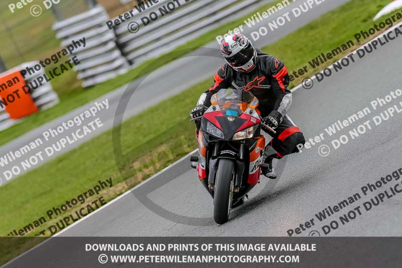 Oulton Park Track Day 18th Aug 2918;PJ Motorsport;anglesey;brands hatch;cadwell park;croft;donington park;enduro digital images;event digital images;eventdigitalimages;mallory;no limits;oulton park;peter wileman photography;racing digital images;silverstone;snetterton;trackday digital images;trackday photos;vmcc banbury run;welsh 2 day enduro