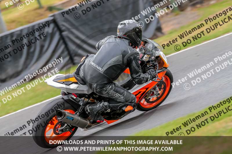 Oulton Park Track Day 18th Aug 2918;PJ Motorsport;anglesey;brands hatch;cadwell park;croft;donington park;enduro digital images;event digital images;eventdigitalimages;mallory;no limits;oulton park;peter wileman photography;racing digital images;silverstone;snetterton;trackday digital images;trackday photos;vmcc banbury run;welsh 2 day enduro