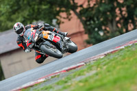 Oulton-Park-Track-Day-18th-Aug-2918;PJ-Motorsport;anglesey;brands-hatch;cadwell-park;croft;donington-park;enduro-digital-images;event-digital-images;eventdigitalimages;mallory;no-limits;oulton-park;peter-wileman-photography;racing-digital-images;silverstone;snetterton;trackday-digital-images;trackday-photos;vmcc-banbury-run;welsh-2-day-enduro