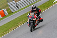 Oulton-Park-Track-Day-18th-Aug-2918;PJ-Motorsport;anglesey;brands-hatch;cadwell-park;croft;donington-park;enduro-digital-images;event-digital-images;eventdigitalimages;mallory;no-limits;oulton-park;peter-wileman-photography;racing-digital-images;silverstone;snetterton;trackday-digital-images;trackday-photos;vmcc-banbury-run;welsh-2-day-enduro