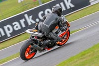 Oulton-Park-Track-Day-18th-Aug-2918;PJ-Motorsport;anglesey;brands-hatch;cadwell-park;croft;donington-park;enduro-digital-images;event-digital-images;eventdigitalimages;mallory;no-limits;oulton-park;peter-wileman-photography;racing-digital-images;silverstone;snetterton;trackday-digital-images;trackday-photos;vmcc-banbury-run;welsh-2-day-enduro