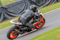 Oulton-Park-Track-Day-18th-Aug-2918;PJ-Motorsport;anglesey;brands-hatch;cadwell-park;croft;donington-park;enduro-digital-images;event-digital-images;eventdigitalimages;mallory;no-limits;oulton-park;peter-wileman-photography;racing-digital-images;silverstone;snetterton;trackday-digital-images;trackday-photos;vmcc-banbury-run;welsh-2-day-enduro