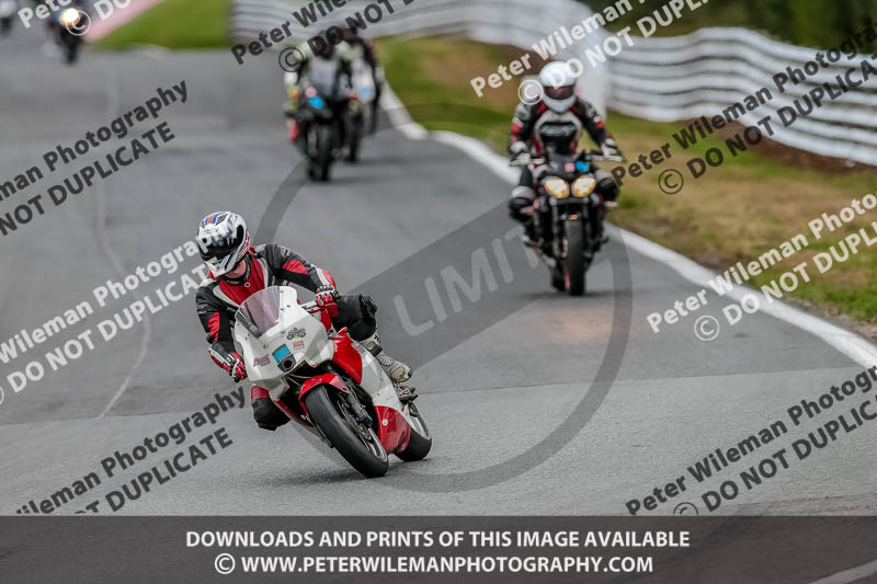 Oulton Park Track Day 18th Aug 2918;PJ Motorsport;anglesey;brands hatch;cadwell park;croft;donington park;enduro digital images;event digital images;eventdigitalimages;mallory;no limits;oulton park;peter wileman photography;racing digital images;silverstone;snetterton;trackday digital images;trackday photos;vmcc banbury run;welsh 2 day enduro