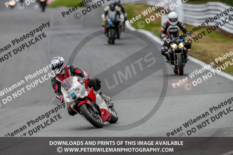 Oulton Park Track Day 18th Aug 2918;PJ Motorsport;anglesey;brands hatch;cadwell park;croft;donington park;enduro digital images;event digital images;eventdigitalimages;mallory;no limits;oulton park;peter wileman photography;racing digital images;silverstone;snetterton;trackday digital images;trackday photos;vmcc banbury run;welsh 2 day enduro