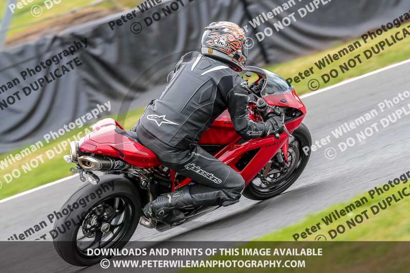 Oulton Park Track Day 18th Aug 2918;PJ Motorsport;anglesey;brands hatch;cadwell park;croft;donington park;enduro digital images;event digital images;eventdigitalimages;mallory;no limits;oulton park;peter wileman photography;racing digital images;silverstone;snetterton;trackday digital images;trackday photos;vmcc banbury run;welsh 2 day enduro