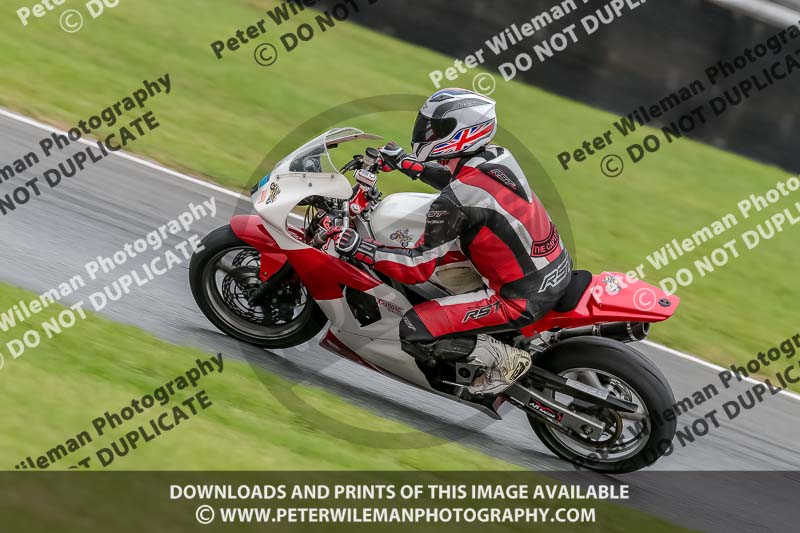 Oulton Park Track Day 18th Aug 2918;PJ Motorsport;anglesey;brands hatch;cadwell park;croft;donington park;enduro digital images;event digital images;eventdigitalimages;mallory;no limits;oulton park;peter wileman photography;racing digital images;silverstone;snetterton;trackday digital images;trackday photos;vmcc banbury run;welsh 2 day enduro
