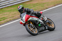 Oulton-Park-Track-Day-18th-Aug-2918;PJ-Motorsport;anglesey;brands-hatch;cadwell-park;croft;donington-park;enduro-digital-images;event-digital-images;eventdigitalimages;mallory;no-limits;oulton-park;peter-wileman-photography;racing-digital-images;silverstone;snetterton;trackday-digital-images;trackday-photos;vmcc-banbury-run;welsh-2-day-enduro
