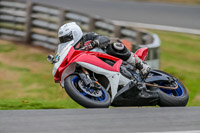 Oulton-Park-Track-Day-18th-Aug-2918;PJ-Motorsport;anglesey;brands-hatch;cadwell-park;croft;donington-park;enduro-digital-images;event-digital-images;eventdigitalimages;mallory;no-limits;oulton-park;peter-wileman-photography;racing-digital-images;silverstone;snetterton;trackday-digital-images;trackday-photos;vmcc-banbury-run;welsh-2-day-enduro