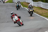 Oulton-Park-Track-Day-18th-Aug-2918;PJ-Motorsport;anglesey;brands-hatch;cadwell-park;croft;donington-park;enduro-digital-images;event-digital-images;eventdigitalimages;mallory;no-limits;oulton-park;peter-wileman-photography;racing-digital-images;silverstone;snetterton;trackday-digital-images;trackday-photos;vmcc-banbury-run;welsh-2-day-enduro