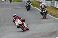 Middle Group Red Bikes