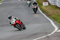 Oulton-Park-Track-Day-18th-Aug-2918;PJ-Motorsport;anglesey;brands-hatch;cadwell-park;croft;donington-park;enduro-digital-images;event-digital-images;eventdigitalimages;mallory;no-limits;oulton-park;peter-wileman-photography;racing-digital-images;silverstone;snetterton;trackday-digital-images;trackday-photos;vmcc-banbury-run;welsh-2-day-enduro