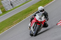 Oulton-Park-Track-Day-18th-Aug-2918;PJ-Motorsport;anglesey;brands-hatch;cadwell-park;croft;donington-park;enduro-digital-images;event-digital-images;eventdigitalimages;mallory;no-limits;oulton-park;peter-wileman-photography;racing-digital-images;silverstone;snetterton;trackday-digital-images;trackday-photos;vmcc-banbury-run;welsh-2-day-enduro