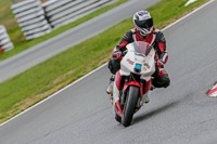 Oulton-Park-Track-Day-18th-Aug-2918;PJ-Motorsport;anglesey;brands-hatch;cadwell-park;croft;donington-park;enduro-digital-images;event-digital-images;eventdigitalimages;mallory;no-limits;oulton-park;peter-wileman-photography;racing-digital-images;silverstone;snetterton;trackday-digital-images;trackday-photos;vmcc-banbury-run;welsh-2-day-enduro