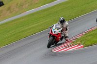Oulton-Park-Track-Day-18th-Aug-2918;PJ-Motorsport;anglesey;brands-hatch;cadwell-park;croft;donington-park;enduro-digital-images;event-digital-images;eventdigitalimages;mallory;no-limits;oulton-park;peter-wileman-photography;racing-digital-images;silverstone;snetterton;trackday-digital-images;trackday-photos;vmcc-banbury-run;welsh-2-day-enduro