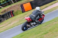 Oulton-Park-Track-Day-18th-Aug-2918;PJ-Motorsport;anglesey;brands-hatch;cadwell-park;croft;donington-park;enduro-digital-images;event-digital-images;eventdigitalimages;mallory;no-limits;oulton-park;peter-wileman-photography;racing-digital-images;silverstone;snetterton;trackday-digital-images;trackday-photos;vmcc-banbury-run;welsh-2-day-enduro