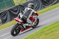 Oulton-Park-Track-Day-18th-Aug-2918;PJ-Motorsport;anglesey;brands-hatch;cadwell-park;croft;donington-park;enduro-digital-images;event-digital-images;eventdigitalimages;mallory;no-limits;oulton-park;peter-wileman-photography;racing-digital-images;silverstone;snetterton;trackday-digital-images;trackday-photos;vmcc-banbury-run;welsh-2-day-enduro