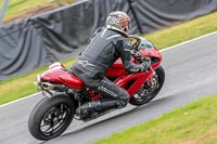 Oulton-Park-Track-Day-18th-Aug-2918;PJ-Motorsport;anglesey;brands-hatch;cadwell-park;croft;donington-park;enduro-digital-images;event-digital-images;eventdigitalimages;mallory;no-limits;oulton-park;peter-wileman-photography;racing-digital-images;silverstone;snetterton;trackday-digital-images;trackday-photos;vmcc-banbury-run;welsh-2-day-enduro