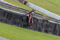 Oulton-Park-Track-Day-18th-Aug-2918;PJ-Motorsport;anglesey;brands-hatch;cadwell-park;croft;donington-park;enduro-digital-images;event-digital-images;eventdigitalimages;mallory;no-limits;oulton-park;peter-wileman-photography;racing-digital-images;silverstone;snetterton;trackday-digital-images;trackday-photos;vmcc-banbury-run;welsh-2-day-enduro