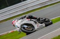 Oulton-Park-Track-Day-18th-Aug-2918;PJ-Motorsport;anglesey;brands-hatch;cadwell-park;croft;donington-park;enduro-digital-images;event-digital-images;eventdigitalimages;mallory;no-limits;oulton-park;peter-wileman-photography;racing-digital-images;silverstone;snetterton;trackday-digital-images;trackday-photos;vmcc-banbury-run;welsh-2-day-enduro