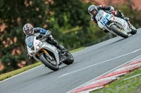 Oulton-Park-Track-Day-18th-Aug-2918;PJ-Motorsport;anglesey;brands-hatch;cadwell-park;croft;donington-park;enduro-digital-images;event-digital-images;eventdigitalimages;mallory;no-limits;oulton-park;peter-wileman-photography;racing-digital-images;silverstone;snetterton;trackday-digital-images;trackday-photos;vmcc-banbury-run;welsh-2-day-enduro