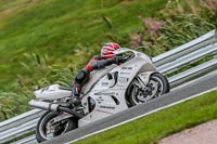 Oulton-Park-Track-Day-18th-Aug-2918;PJ-Motorsport;anglesey;brands-hatch;cadwell-park;croft;donington-park;enduro-digital-images;event-digital-images;eventdigitalimages;mallory;no-limits;oulton-park;peter-wileman-photography;racing-digital-images;silverstone;snetterton;trackday-digital-images;trackday-photos;vmcc-banbury-run;welsh-2-day-enduro
