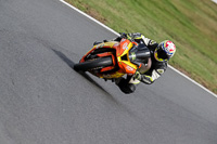 anglesey;brands-hatch;cadwell-park;croft;donington-park;enduro-digital-images;event-digital-images;eventdigitalimages;mallory;no-limits;oulton-park;peter-wileman-photography;racing-digital-images;silverstone;snetterton;trackday-digital-images;trackday-photos;vmcc-banbury-run;welsh-2-day-enduro
