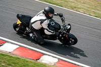 anglesey;brands-hatch;cadwell-park;croft;donington-park;enduro-digital-images;event-digital-images;eventdigitalimages;mallory;no-limits;oulton-park;peter-wileman-photography;racing-digital-images;silverstone;snetterton;trackday-digital-images;trackday-photos;vmcc-banbury-run;welsh-2-day-enduro