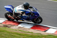 Lower Group Blue Bikes