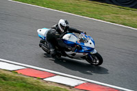 Lower Group Blue Bikes