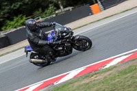 anglesey;brands-hatch;cadwell-park;croft;donington-park;enduro-digital-images;event-digital-images;eventdigitalimages;mallory;no-limits;oulton-park;peter-wileman-photography;racing-digital-images;silverstone;snetterton;trackday-digital-images;trackday-photos;vmcc-banbury-run;welsh-2-day-enduro