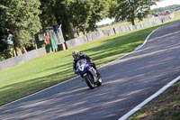 anglesey;brands-hatch;cadwell-park;croft;donington-park;enduro-digital-images;event-digital-images;eventdigitalimages;mallory;no-limits;oulton-park;peter-wileman-photography;racing-digital-images;silverstone;snetterton;trackday-digital-images;trackday-photos;vmcc-banbury-run;welsh-2-day-enduro