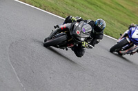 anglesey;brands-hatch;cadwell-park;croft;donington-park;enduro-digital-images;event-digital-images;eventdigitalimages;mallory;no-limits;oulton-park;peter-wileman-photography;racing-digital-images;silverstone;snetterton;trackday-digital-images;trackday-photos;vmcc-banbury-run;welsh-2-day-enduro