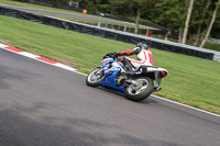 anglesey;brands-hatch;cadwell-park;croft;donington-park;enduro-digital-images;event-digital-images;eventdigitalimages;mallory;no-limits;oulton-park;peter-wileman-photography;racing-digital-images;silverstone;snetterton;trackday-digital-images;trackday-photos;vmcc-banbury-run;welsh-2-day-enduro