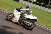 anglesey;brands-hatch;cadwell-park;croft;donington-park;enduro-digital-images;event-digital-images;eventdigitalimages;mallory;no-limits;oulton-park;peter-wileman-photography;racing-digital-images;silverstone;snetterton;trackday-digital-images;trackday-photos;vmcc-banbury-run;welsh-2-day-enduro