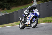 anglesey;brands-hatch;cadwell-park;croft;donington-park;enduro-digital-images;event-digital-images;eventdigitalimages;mallory;no-limits;oulton-park;peter-wileman-photography;racing-digital-images;silverstone;snetterton;trackday-digital-images;trackday-photos;vmcc-banbury-run;welsh-2-day-enduro
