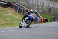 anglesey;brands-hatch;cadwell-park;croft;donington-park;enduro-digital-images;event-digital-images;eventdigitalimages;mallory;no-limits;oulton-park;peter-wileman-photography;racing-digital-images;silverstone;snetterton;trackday-digital-images;trackday-photos;vmcc-banbury-run;welsh-2-day-enduro