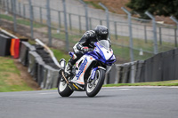 anglesey;brands-hatch;cadwell-park;croft;donington-park;enduro-digital-images;event-digital-images;eventdigitalimages;mallory;no-limits;oulton-park;peter-wileman-photography;racing-digital-images;silverstone;snetterton;trackday-digital-images;trackday-photos;vmcc-banbury-run;welsh-2-day-enduro