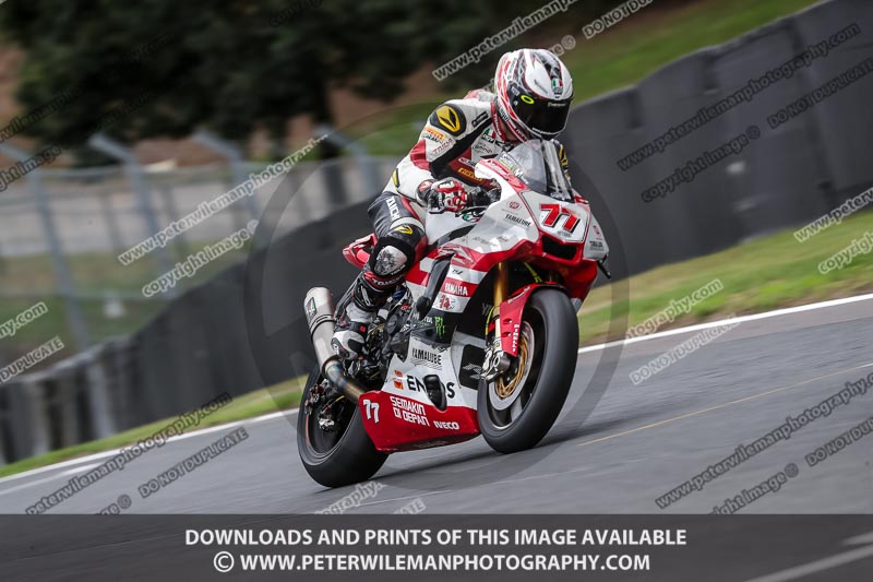 anglesey;brands hatch;cadwell park;croft;donington park;enduro digital images;event digital images;eventdigitalimages;mallory;no limits;oulton park;peter wileman photography;racing digital images;silverstone;snetterton;trackday digital images;trackday photos;vmcc banbury run;welsh 2 day enduro