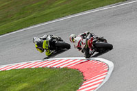 anglesey;brands-hatch;cadwell-park;croft;donington-park;enduro-digital-images;event-digital-images;eventdigitalimages;mallory;no-limits;oulton-park;peter-wileman-photography;racing-digital-images;silverstone;snetterton;trackday-digital-images;trackday-photos;vmcc-banbury-run;welsh-2-day-enduro