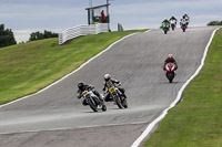 anglesey;brands-hatch;cadwell-park;croft;donington-park;enduro-digital-images;event-digital-images;eventdigitalimages;mallory;no-limits;oulton-park;peter-wileman-photography;racing-digital-images;silverstone;snetterton;trackday-digital-images;trackday-photos;vmcc-banbury-run;welsh-2-day-enduro