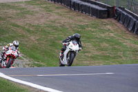 anglesey;brands-hatch;cadwell-park;croft;donington-park;enduro-digital-images;event-digital-images;eventdigitalimages;mallory;no-limits;oulton-park;peter-wileman-photography;racing-digital-images;silverstone;snetterton;trackday-digital-images;trackday-photos;vmcc-banbury-run;welsh-2-day-enduro