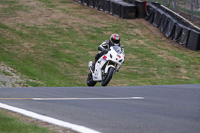 anglesey;brands-hatch;cadwell-park;croft;donington-park;enduro-digital-images;event-digital-images;eventdigitalimages;mallory;no-limits;oulton-park;peter-wileman-photography;racing-digital-images;silverstone;snetterton;trackday-digital-images;trackday-photos;vmcc-banbury-run;welsh-2-day-enduro