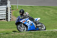 anglesey;brands-hatch;cadwell-park;croft;donington-park;enduro-digital-images;event-digital-images;eventdigitalimages;mallory;no-limits;oulton-park;peter-wileman-photography;racing-digital-images;silverstone;snetterton;trackday-digital-images;trackday-photos;vmcc-banbury-run;welsh-2-day-enduro