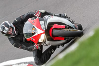 anglesey;brands-hatch;cadwell-park;croft;donington-park;enduro-digital-images;event-digital-images;eventdigitalimages;mallory;no-limits;oulton-park;peter-wileman-photography;racing-digital-images;silverstone;snetterton;trackday-digital-images;trackday-photos;vmcc-banbury-run;welsh-2-day-enduro